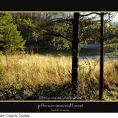 Jefferson Memorial Forest