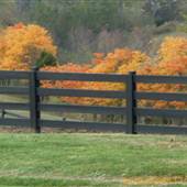 Lawrenceburg Farm