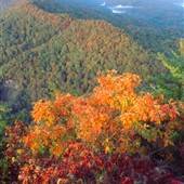 Cumberland Gap National Historical Park