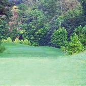 Flatwoods