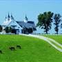 Calumet Farm