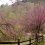 Menifee County