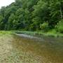 Bradfordsville