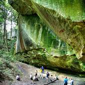 Blanton Forest State Nature Preserve