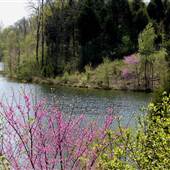 Hubble Lake and Park