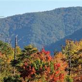 Cumberland
