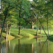 Ryland Heights