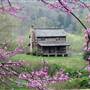 Gladie Creek Cabin