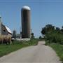 Country Roads