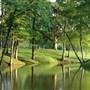 Ryland Heights