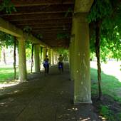 Louisville Central Park