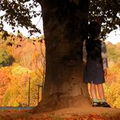 Cherokee Park