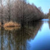 Reelfoot Lake National Wildlife Refuge