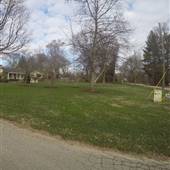 Transylvania Avenue