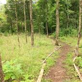 Jessamine Creek Gorge