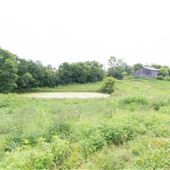 Ballew Farms