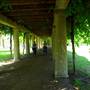 Louisville Central Park