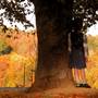 Cherokee Park