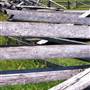 Mountain Homeplace