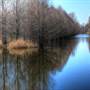 Reelfoot Lake National Wildlife Refuge