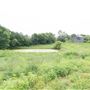 Ballew Farms