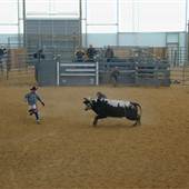 Kentucky Cowtown Exposition Center