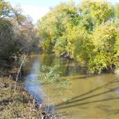 The Parklands of Floyds Fork