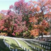 Cave Hill Cemetery