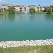 Cold Spring