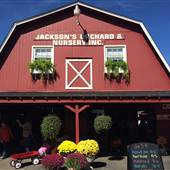 Jackson's Orchard