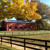 Goshen
