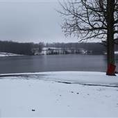 Vastwood Park Lake