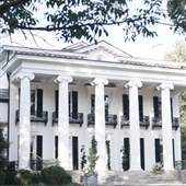 Airdrie Stud