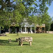 Pine Knoll Farm