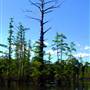 Cypress Lakes RV Park