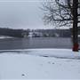 Vastwood Park Lake