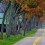 Old Frankfort Pike