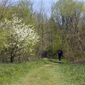 E.P. Tom Sawyer State Park