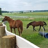 Kentucky Downs Race Track