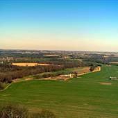 Raywick