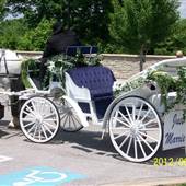 Rockn B Horse Carriage Farm