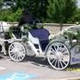 Rockn B Horse Carriage Farm