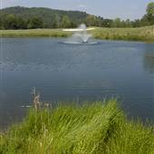Grayson Lake State Park