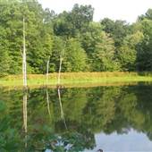 Central Kentucky Wildlife Refuge