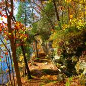 Logan County Glade SNP