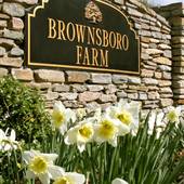 Brownsboro Farm