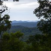 Knobs State Forest