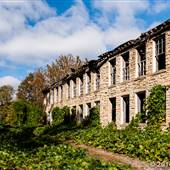 McKee School