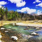 Wolf Creek Fish Hatchery