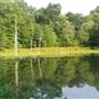 Central Kentucky Wildlife Refuge